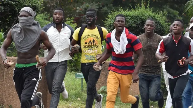 Ụmụakwụkwọ bu okwute na-eme ngagharịiwe