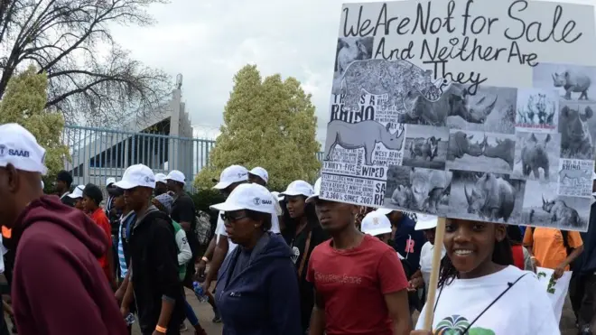 Une marche pour la protection des éléphants, des lions et des rhinocéros à Gaborone en 2017 (illustration).