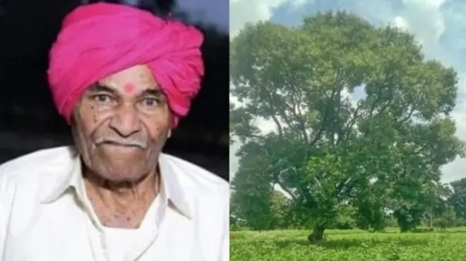 కేశవ్ శిందే, ఆయన పొలంలోని చెట్టు 