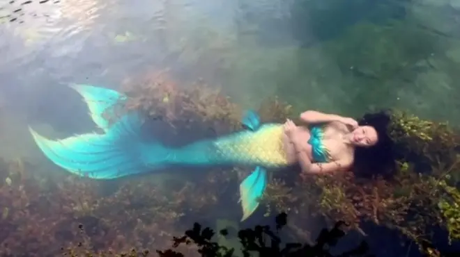 Персонажі вистави граціозно плавають за склом серед риб та інших мешканців акваріуму.