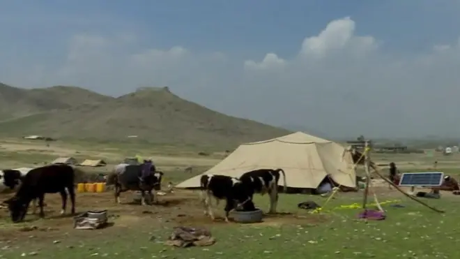 افغانستان په نړۍ کې د ښځو لپاره يو له بدو هېوادونو بلل کېږي خو د کوچيو مېرمنو ژوند بيا ان د افغانستان د نورو ښځو په پرتله لا ډېر له کړاوه ډک دى.