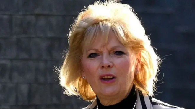 Anna Soubry dari partai Konservatif mengatakan dirinya menerima 13 kali ancaman pembunuhan.