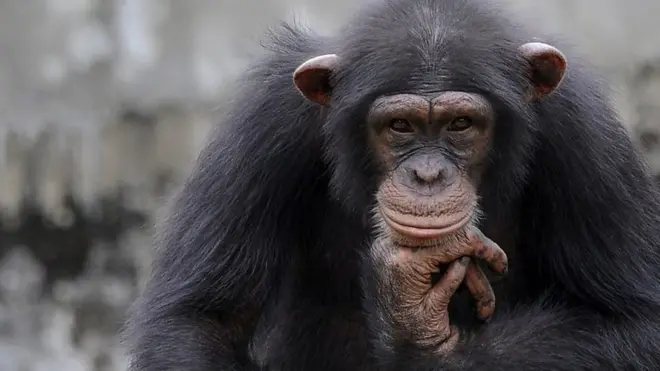 Natasha Zemtsova yalangoch fotosurat