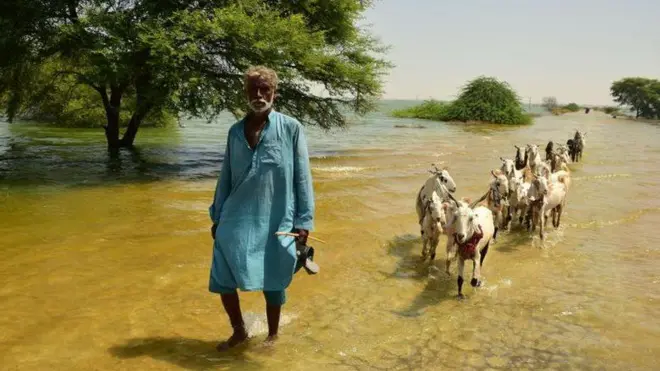 Pakistan'da Haziran'dan bu yana sel olayları yaşanıyor