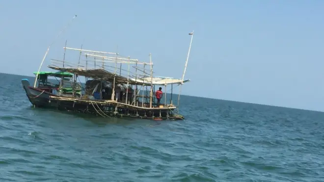 ပင်လယ်ပြင်ထဲ ငါးဖောင်ထွက်နေတဲ့ ကျားဖောင်