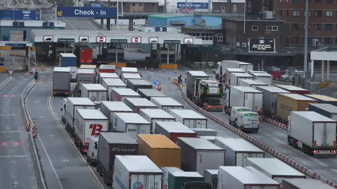 Многие в Британии опасаются, что в случае "жесткого брексита" очередь на границе растянется от Дувра (на фото) до самого Лондона.