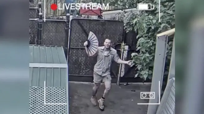 Смотритель зоопарка станцевал в вольере для жирафов.