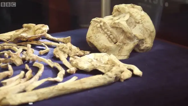 Nobody know Little Foot age, but some scientist dem say she fit carry 500,000 years senior Lucy.