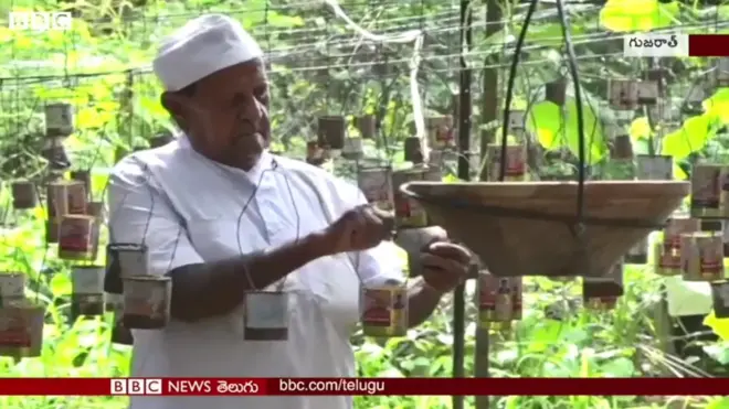 రామ్‌జీ భాయ్