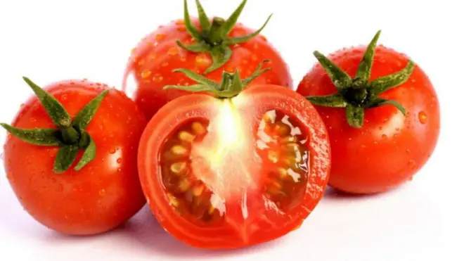 टोमॅटो 
