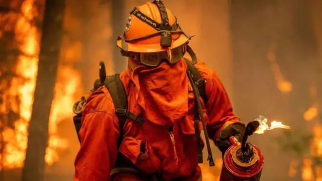 ባርዕ ጫካ ንምምካት ዝተዋፈረ ሓይሊ