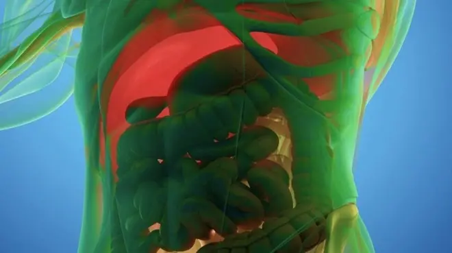 Image of a 3D scan of human anatomy