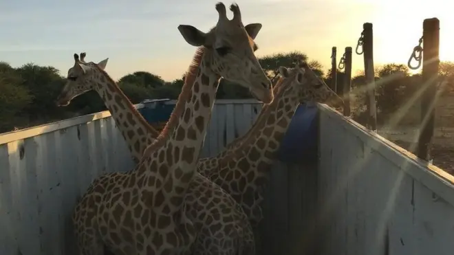 Nova kuća im je u zaštićenom području
