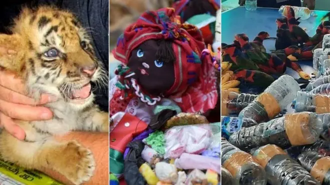 عجیب و غریب