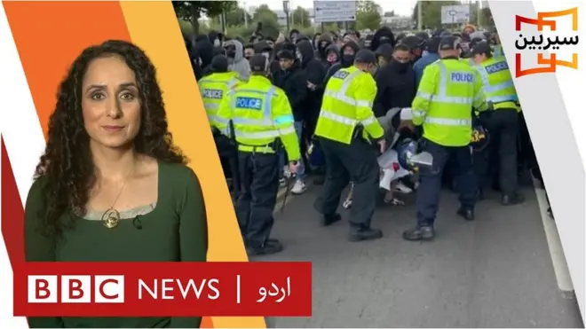 سیربین، انڈین پاکستانی کرکٹ فین