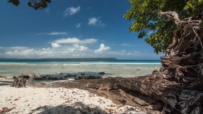 (图片来源:Neelima Vallangi)