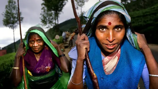 'මලෙයියහ දමිල' : දින 15ක් කිලෝ මීටර් 248 ක් දුර පා ගමනින් ගොස් කළ ඉල්ලීම කුමක් ද?