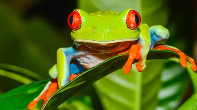 Envíanos tus preguntas sobre biodiversidad.