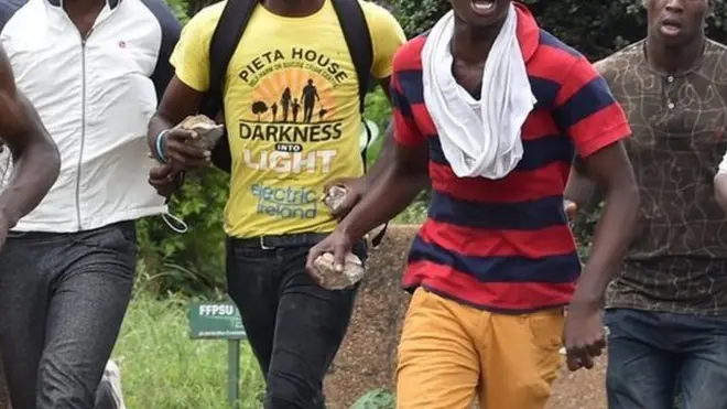 Ụmụakwụkwọ bu okwute na-eme ngagharịiwe