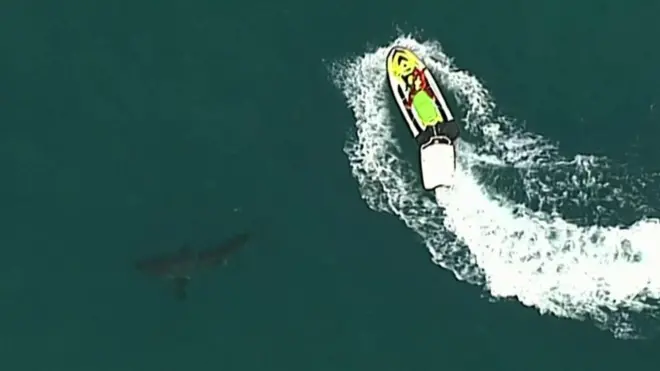 እቲ ሳርክ ኣብቲ ከባቢ ንነዊሕ እዋን ጸኒሑ