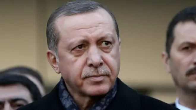 ينظر إلى الحملة على شبكات التواصل باعتبارها امتدادا لخطة أردوغان لـ "التخلص من المعارضين للحكومة"