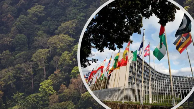 සිංහරාජ ලෝක උරුමය සහ යුනෙස්කෝ