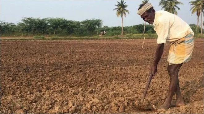 తెలంగాణ రెవెన్యూ వ్యవస్థ