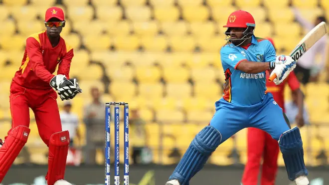 افغانستان کرېکټ