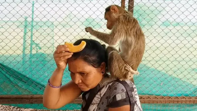 सर्पराज्ञी