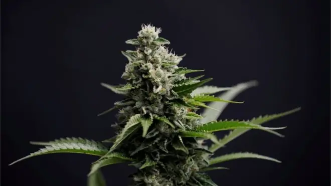 फ़ाइल फ़ोटो