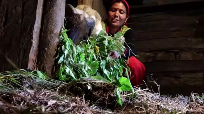 ผู้หญิงที่ต้องไปอยู่ในคอกวัวขณะมีประจำเดือน