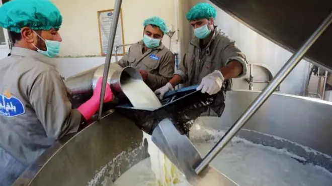 یک شرکت لبنیات نیز توسط تحت پوشش بیمه میگا قرار دارد