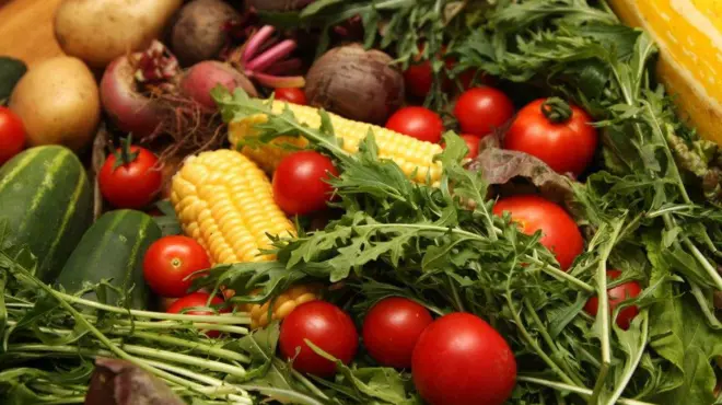 органско поврће, поврће, парадајз, кукуруз, краставац, кромпир