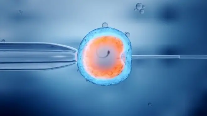 शुक्राणु