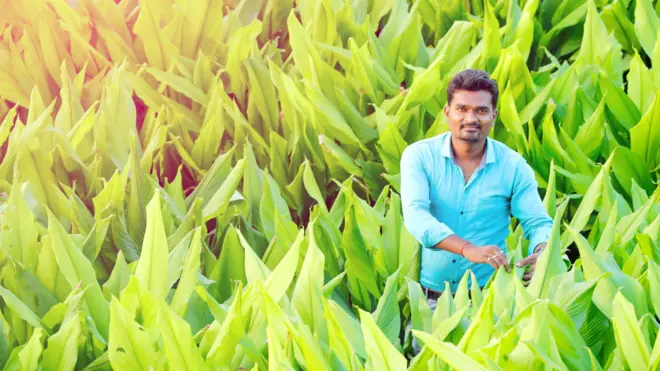 అగ్రికల్చర్ విద్యార్థి