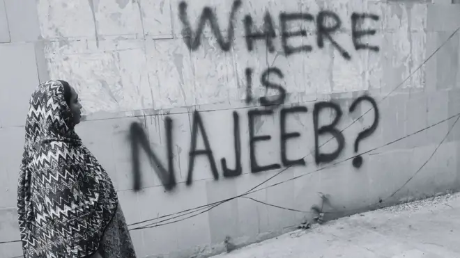 फ़ातिमा नफ़ीस