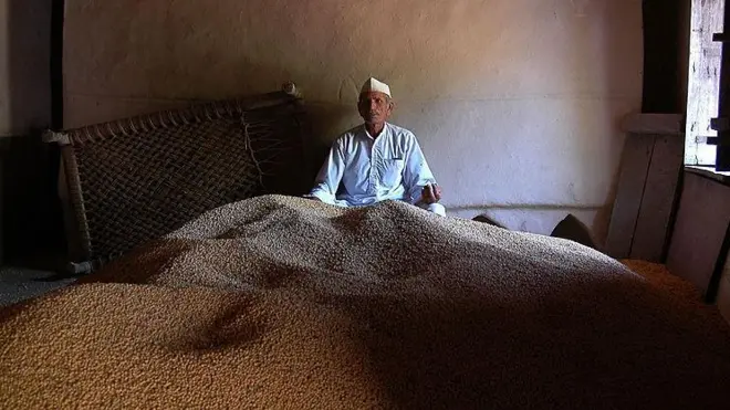 प्रातिनिधिक फोटो