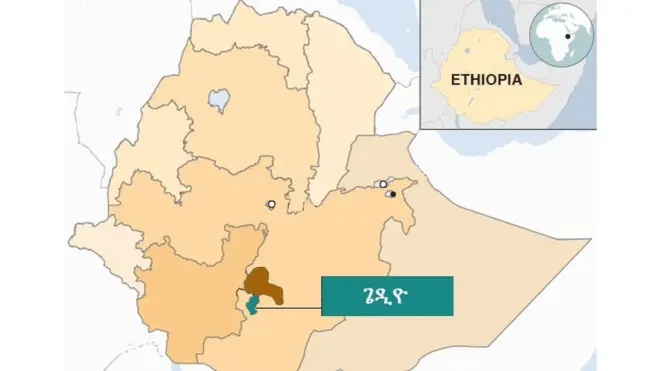 የጌዲዮ ዞንን የሚያሳይ ካርታ