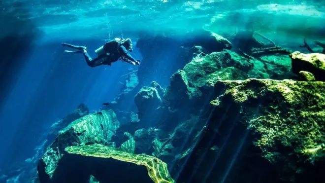 समंदर के अंदर गोताखोर