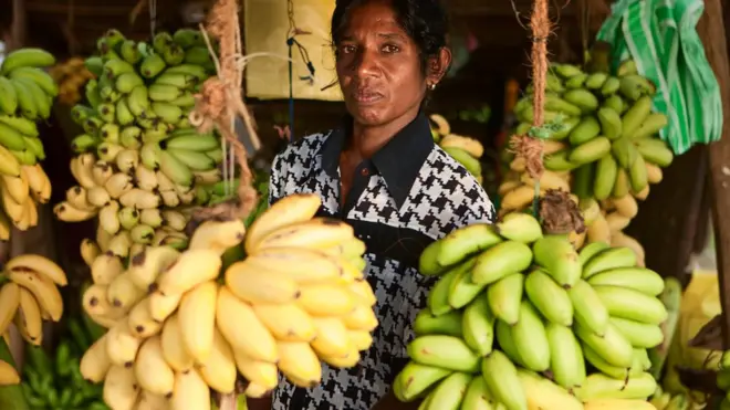 ශ්‍රී ලංකාවට එළවළු, පළතුරු අපනයන වෙළෙඳපොල අහිමි වෙයිද?