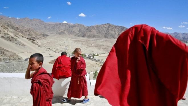 印度管轄的喀什米爾地區拉達克藏區的小喇嘛