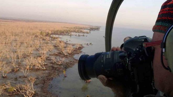 Fotógrafo registra manguezal morto na Austrália