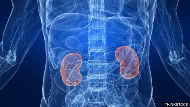 มีผู้ป่วยถึง 93,000 คนในสหรัฐฯที่รอรับบริจาคไตอยู่ ในจำนวนนี้เสียชีวิตไประหว่างที่รอโดยเฉลี่ยวันละ 12 คน