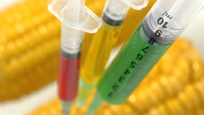 Генетички модификована храна - нови појам у српској законодавству