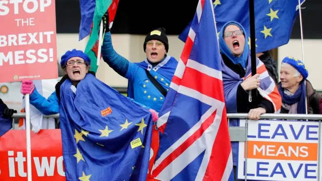 Демонстранты за и против "Брексита"