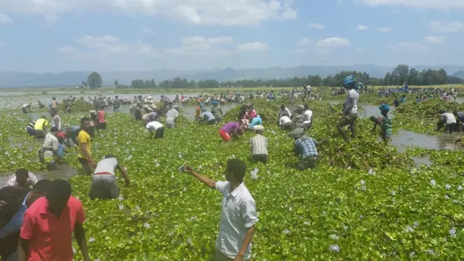 Dargaggoonni haroo xaanaa keessaa boocee yeroo ciran mul'isu