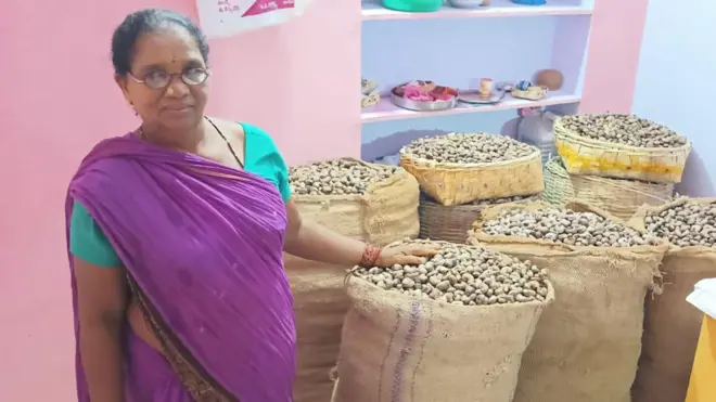 జీడి పప్పు