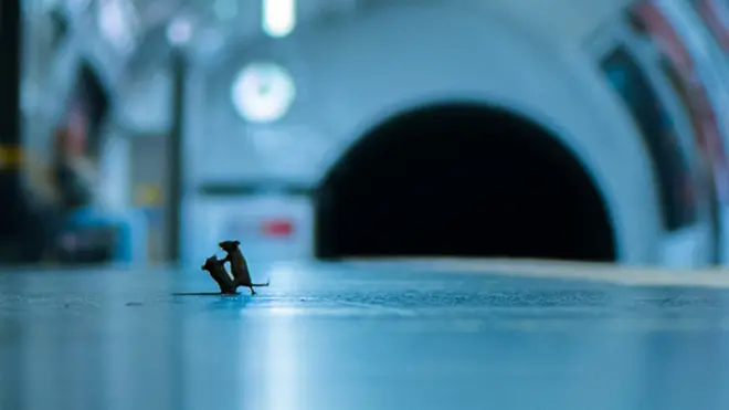 Победничка фотографија