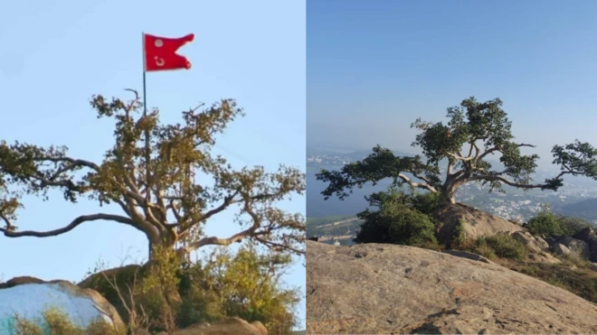 திருப்பரங்குன்றம், சுப்ரமணிய சுவாமி கோவில், மதுரை, சிக்கந்தர் தர்கா