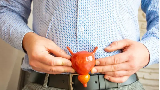 प्रोस्टेट ग्रंथी दाखवताना पुरुष